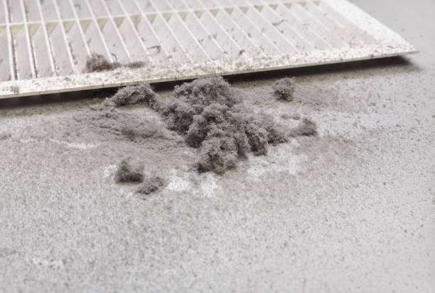 Best Affordable HVAC Duct Cleaning  in New Beaver, PA