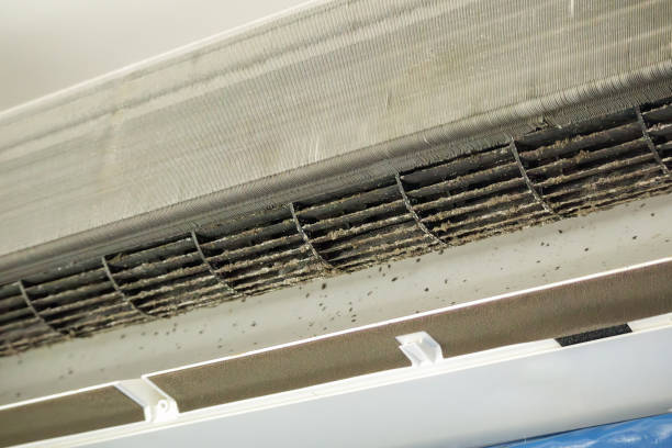 Best Ductwork Cleaning Services  in New Beaver, PA